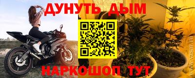 прущие грибы Жуковский