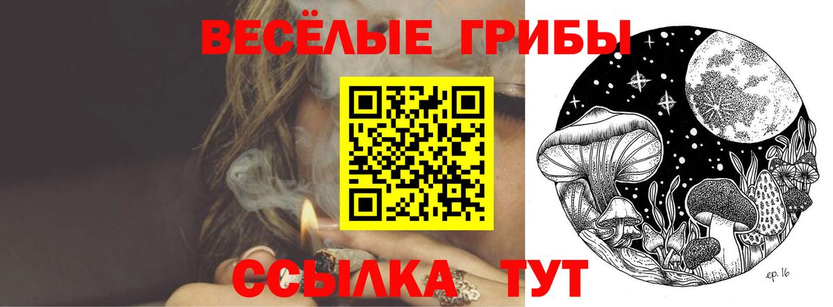 Псилоцибиновые грибы Cubensis Кызыл