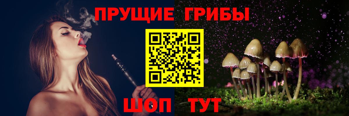 Галлюциногенные грибы Psilocybe  Вход с VPN  Кызыл 