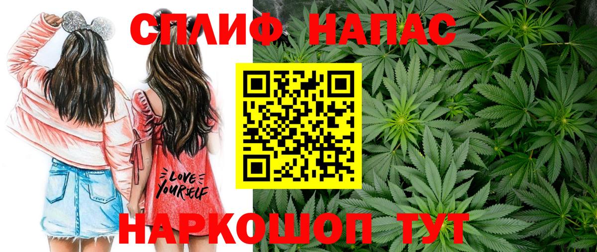Кызыл  Бошки Шишки SATIVA & INDICA  Марихуана планчик  Марихуана индика  Вход с VPN 